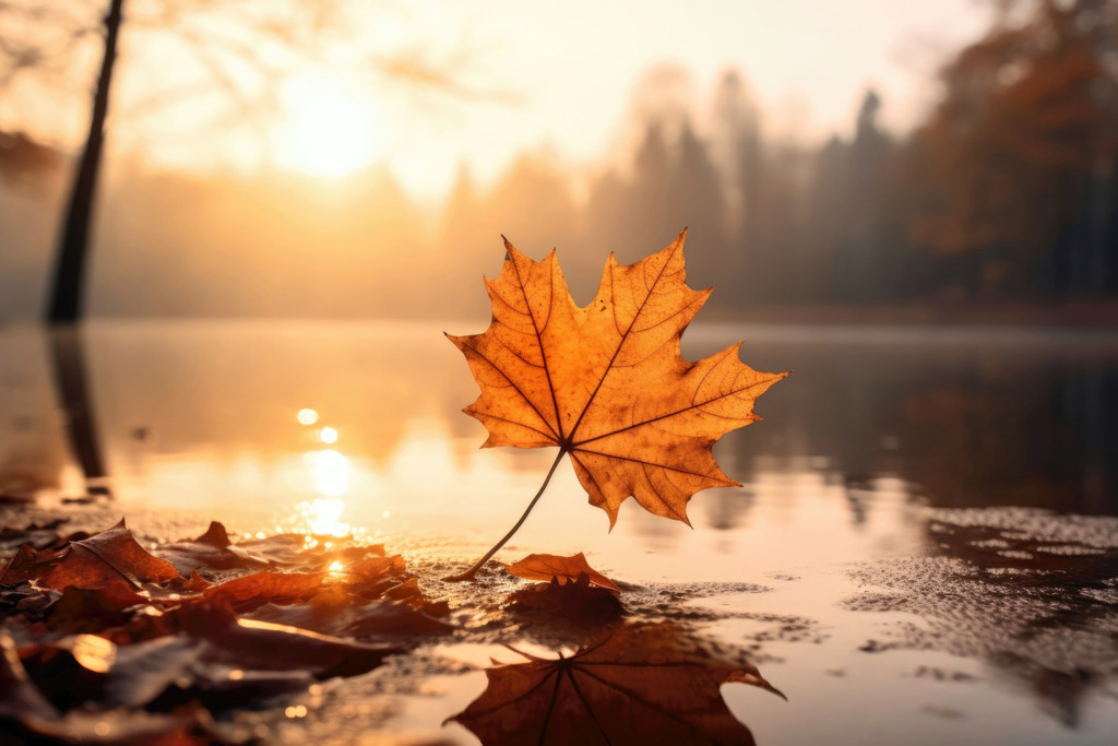 2310003 - Ahornblatt im Herbst | Digitales Kunstwerk eines goldenen Ahornblatts abends an einem See.