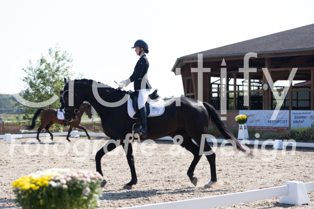 IMG_4116 | Creatify Fotografie