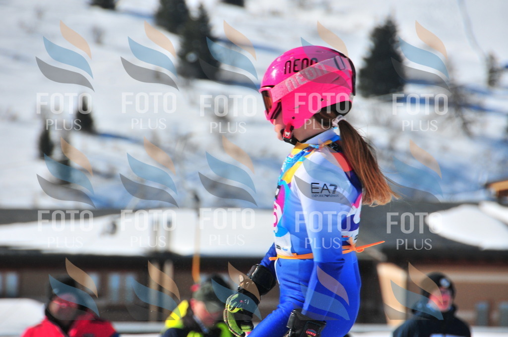 DSC_3979 | holidayphoto