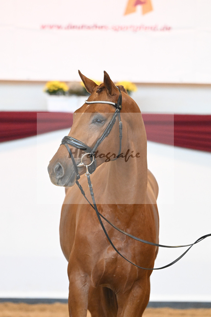 Kat-Nr. 28 v. Erdinger_Schuhmacher_66220790 | hf-fotografie - Realisiert mit Pictrs.com