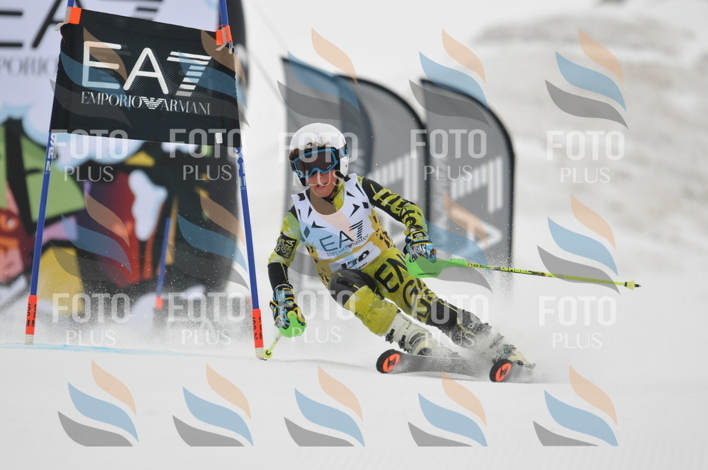 DSC_8580 | holidayphoto