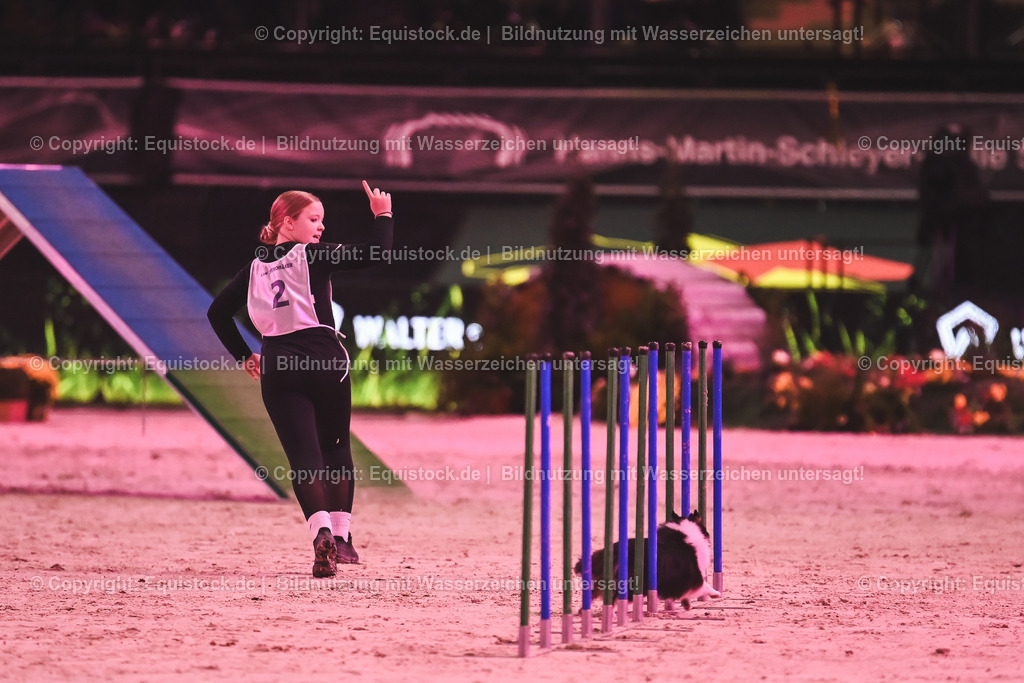 20241113_Showabend_TOMsPiC_0326 | Foto: Thomas Hartig