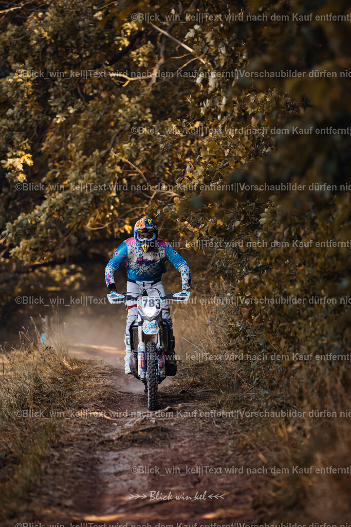 E68A6339 | blick_win_kel