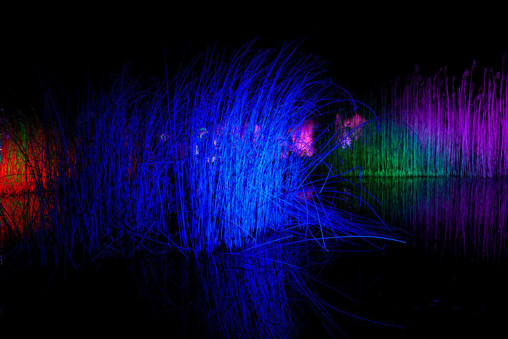 Parkleuchten_GrugaEssen24_39 | Bildergalerie von Sport-Ereignissen aber auch von weiteren spannenden Dingen - nicht nur vom Niederrhein. In Anlehnung an den bekannten Spruch von Hanns Dieter Hüsch heißt das Motto: "Niederrhein ist überall".  - Realisiert mit Pictrs.com