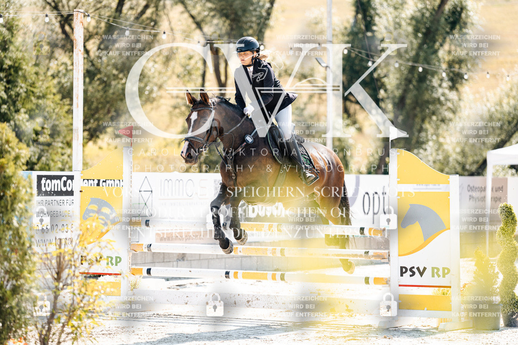 CK908387 | Turnierfotografie Pferdefotografie Trier Rheinland-Pfalz Pferdesport Reitsport Tierfotografie Sportfotografie Pferdevideo Pferdevideografie Equestrianvideography equestrianphotography  - Realisiert mit Pictrs.com