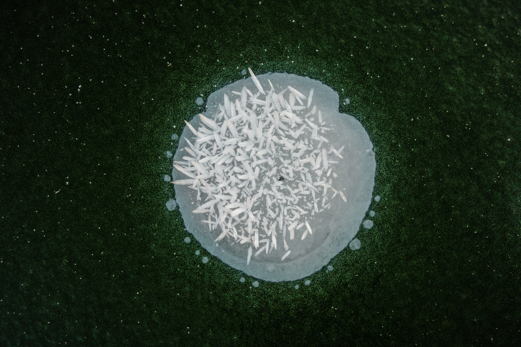 DSC02211 | ap-design // andreas plenk - Realisiert mit Pictrs.com