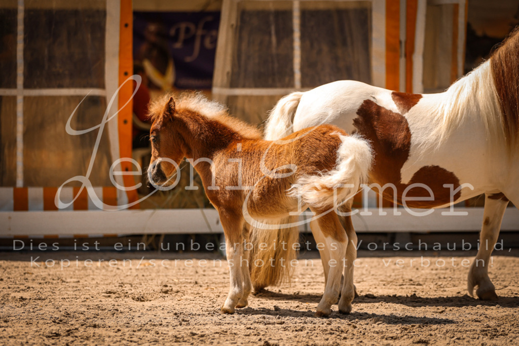 01.DoKR00089 | Leoni Ertmer Photography - Realisiert mit Pictrs.com