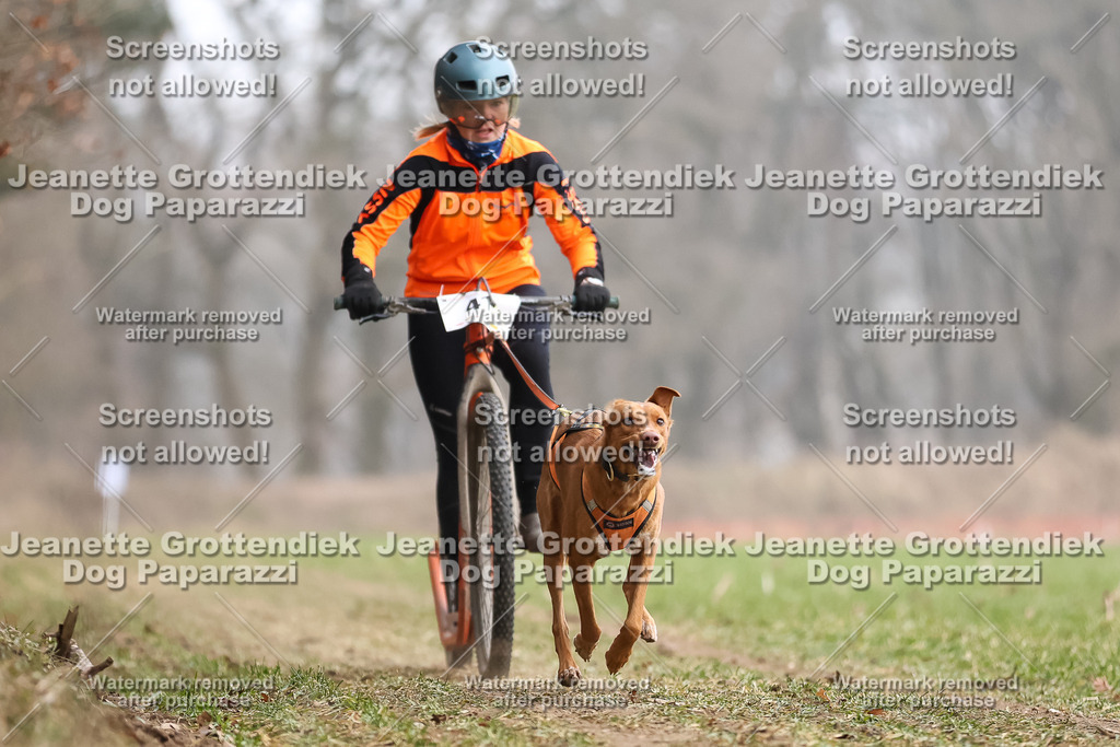 Dog Paparazzi - Plate 2026-131 | Dog Paparazzi Jeanette Grottendiek Fotografie & Videografie - Realisiert mit Pictrs.com