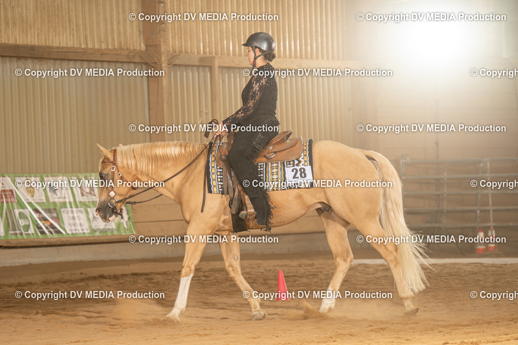 NID03134 | dv-media-shop - Realisiert mit Pictrs.com