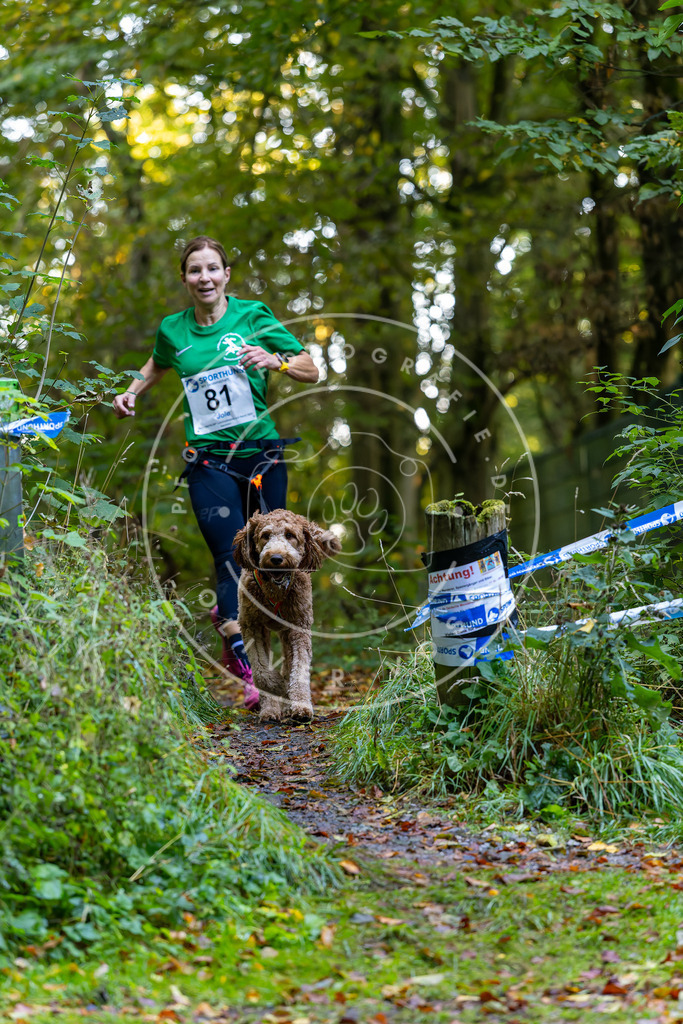 Pfotenfotografie_DV3A7545 | Hundefotografie, Tierfotograf, Pfotenfotografie, Fotoshooting Hund, Hunde Portrait, Hundesport, Hundeportraits, Heideshooting, Hunde, Sportfotograf, Hundefotograf, Turnierhundsport, THS,  - Realisiert mit Pictrs.com