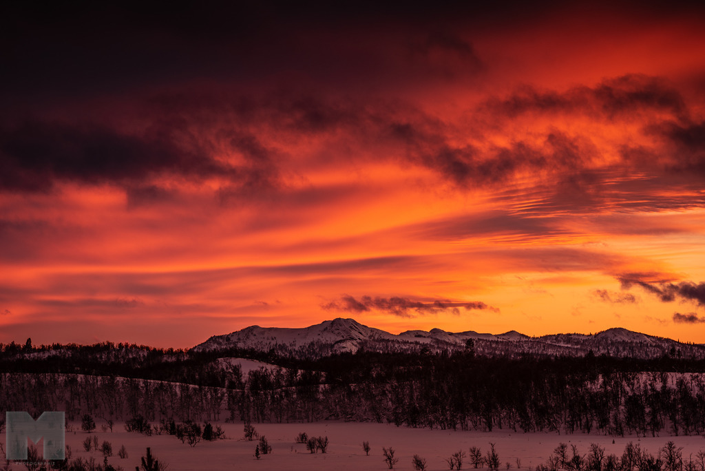 Sonnenuntergang über Ormruet | Landschafts- und Tierfotografie zu allen Jahreszeiten. Und immer die Schönheit des Lichtes im Auge... - Realisiert mit Pictrs.com