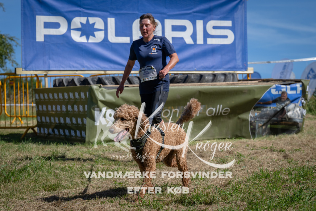 1123_ZZ91506 | kk-dogfotos