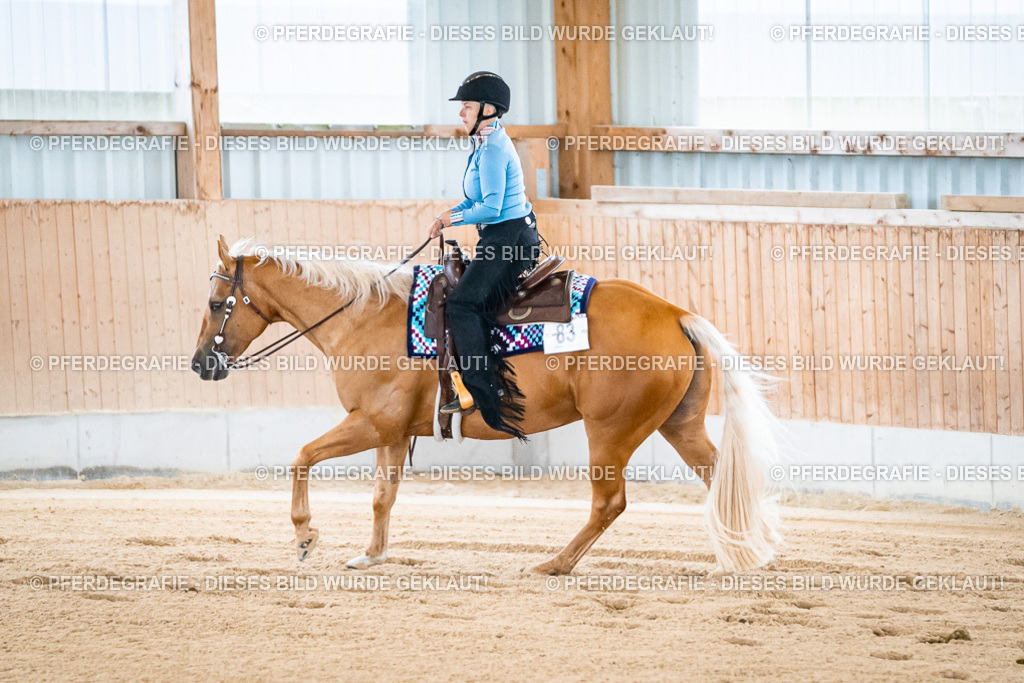 DSC01619 | Pferdegrafie