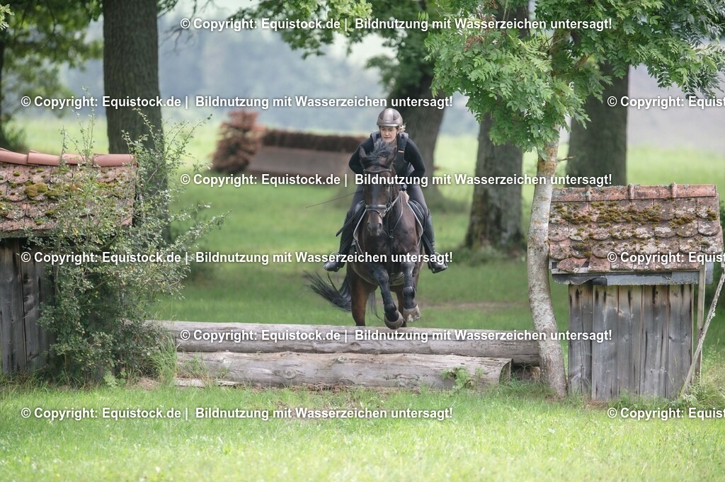 20250726_Vielseitigkeitslehrgang-Marbach_0384 | Foto: Thomas Hartig