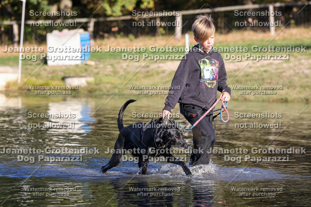 Dog Paparazzi - Strongdog 10-25-8799 | Dog Paparazzi Jeanette Grottendiek Fotografie & Videografie - Realisiert mit Pictrs.com