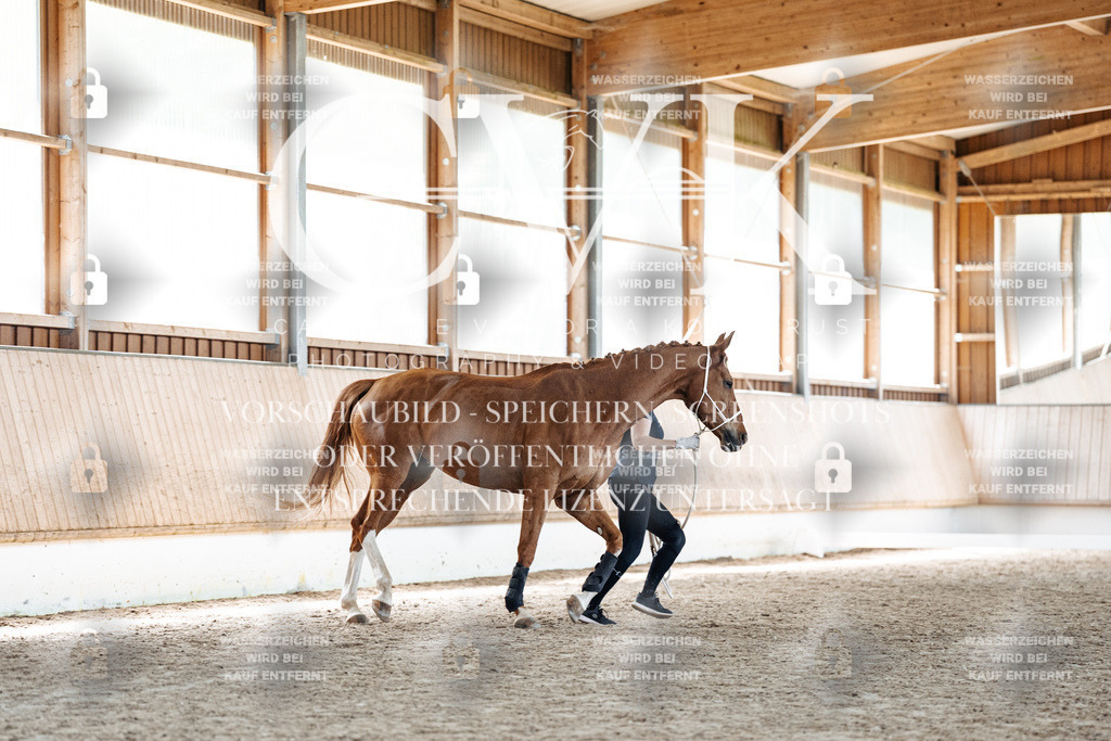 CK907434 | Turnierfotografie Pferdefotografie Trier Rheinland-Pfalz Pferdesport Reitsport Tierfotografie Sportfotografie Pferdevideo Pferdevideografie Equestrianvideography equestrianphotography  - Realized with Pictrs.com