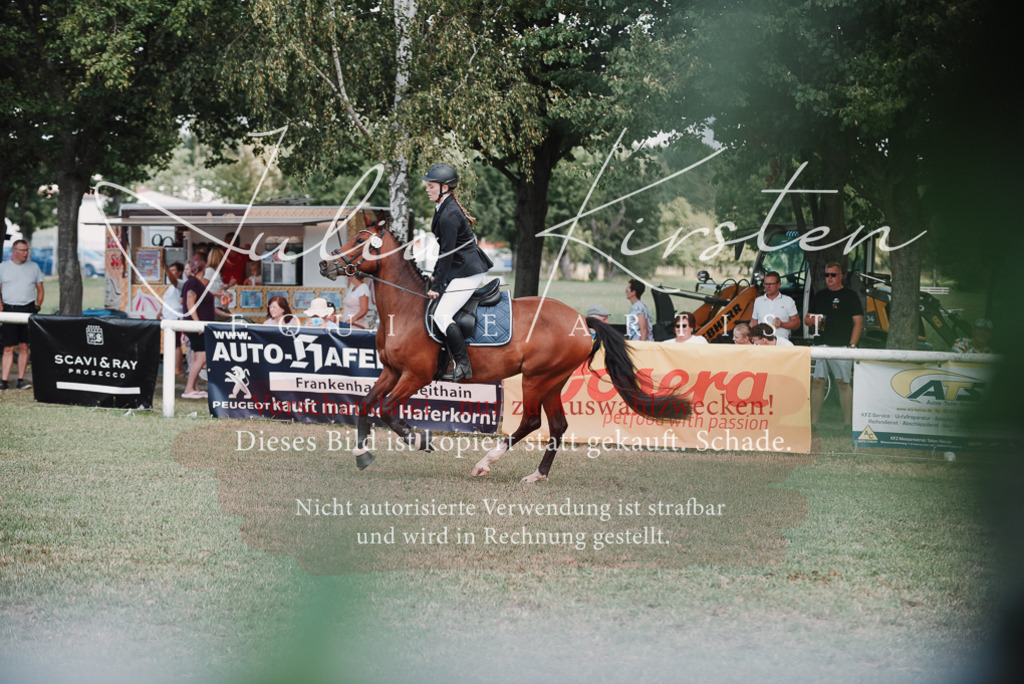 DSC_5841 | Pferde- und Turnierfotografie in Westsachsen. Pferdeportraits, Auftragszeichnungen und intuitive Kunst.