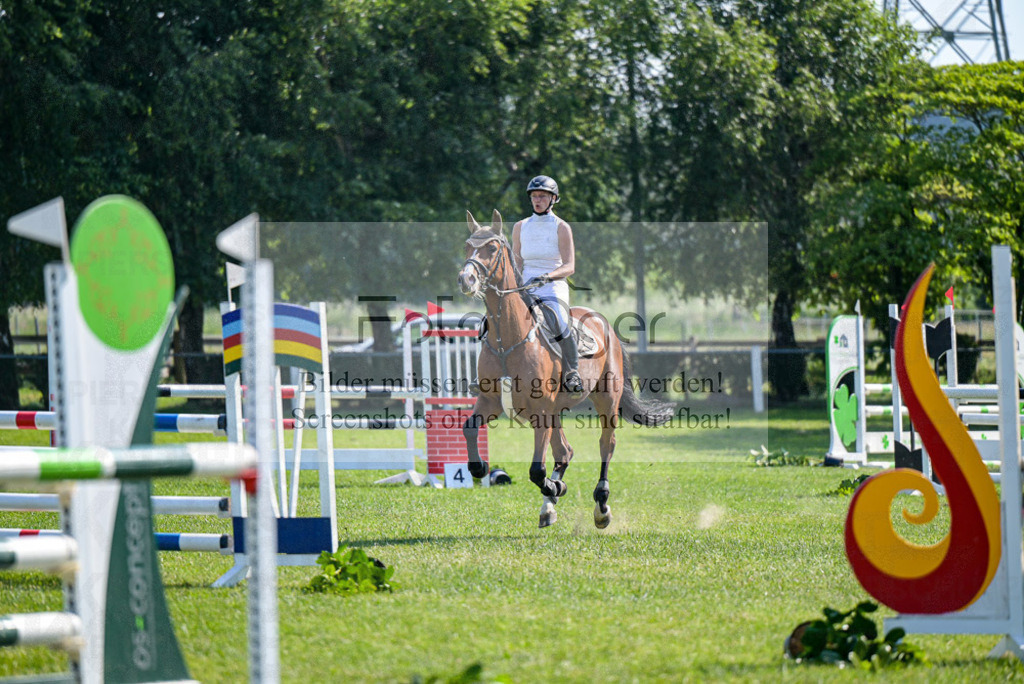 Reitturnier Voxtrup | Entdecke hochwertige Reitturnierfotos von Foto Oger. Professionell, emotional und authentisch – jetzt Lieblingsmomente im Shop bestellen.Deutschlandweite Turnierfotografie. - Realisiert mit Pictrs.com