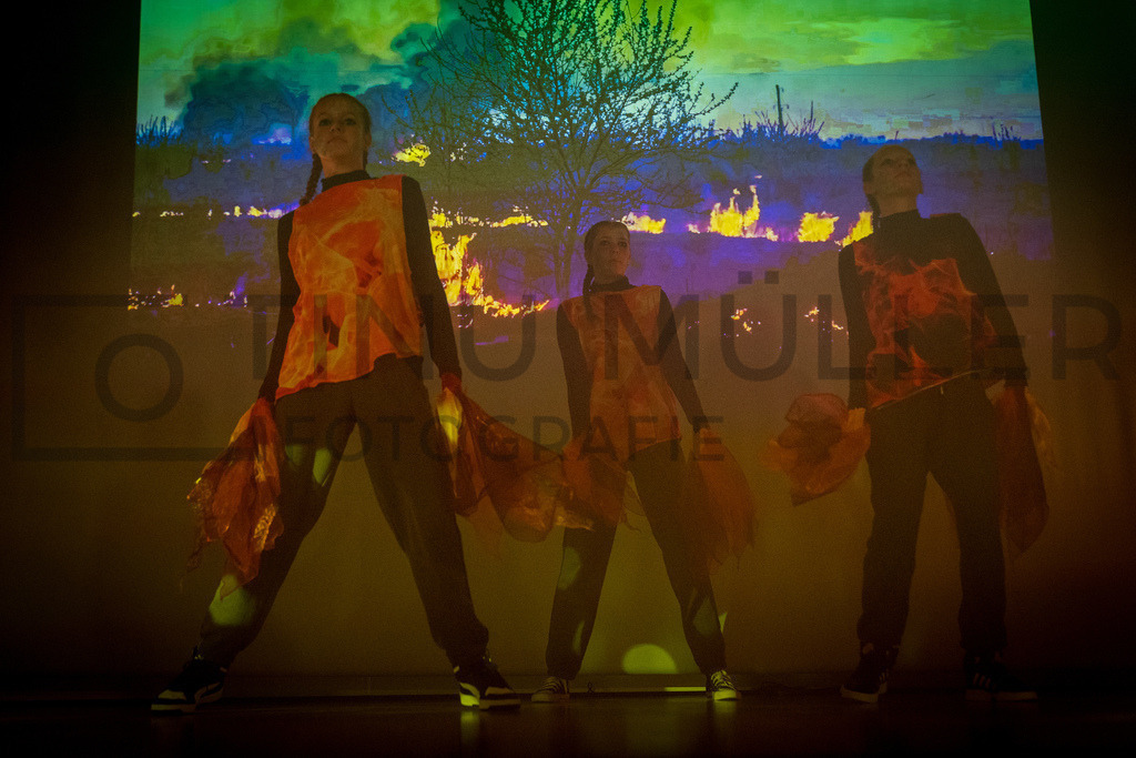 DSC06350 | Tinu Müller Fotografie- Bildershop - Realisiert mit Pictrs.com