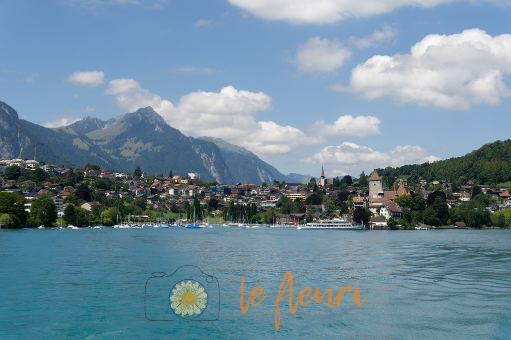 DSC_0229-NEF_DxO_HQ | Dies ist der Shop von Florian Blum - le fleuri. Langenthal, Bern, SchweizSie können hier meine oder ihre eigenen Fotos als Fotoprodukte kaufen. Tassen, Schlüsselanhänger, Taschen etc. können Sie hier gestalten.  - Realisiert mit Pictrs.com