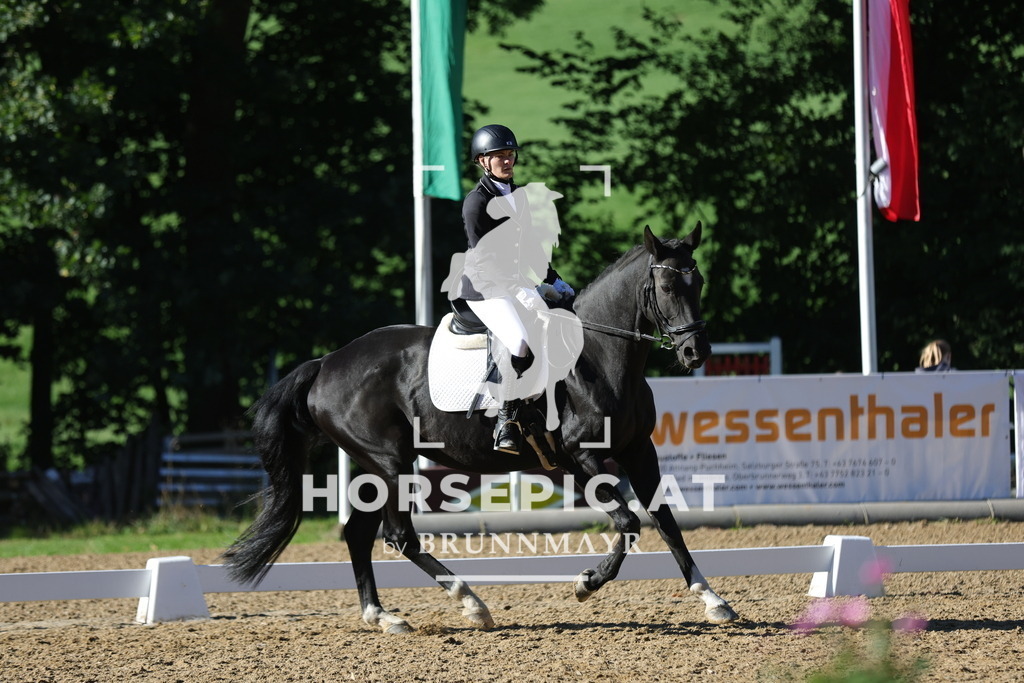 0P6A5974 | Willkommen bei Brunnmayr - Design & Fotografie – Ihrem Spezialisten für Reitturniere und Pferdeveranstaltungen in Oberösterreich, Salzburg und Bayern! Seit über 17 Jahren sind wir leidenschaftlich dabei.