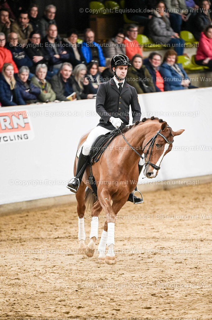 20260307_Hengstvorstellung-Marbach_0233 | equistock