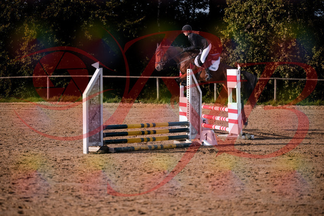2026_10_03_Siefer-Hof_161048_Z81_90493115 | Professionelle Reitsport-, Turnier- und Eventfotografie von Robert Broda. Galerien mit ausgewählten und bearbeiteten Bildern direkt online ansehen und bestellen.