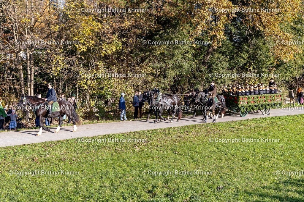 LBT24-85 | foto-bettina-krinner - Realisiert mit Pictrs.com