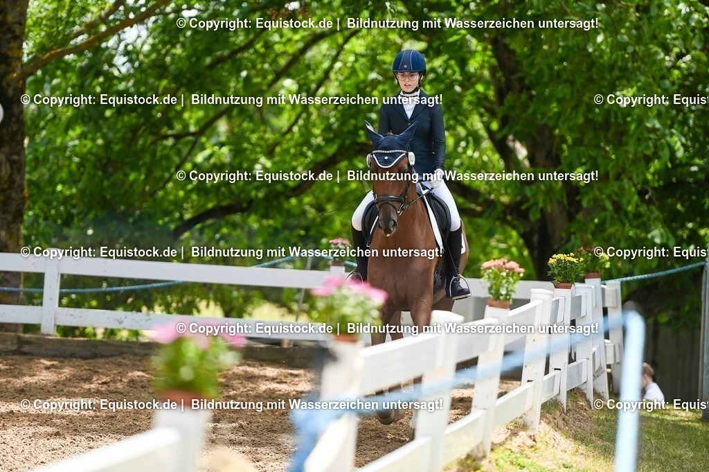 20230716_03_Dressurprfg. Kl.L - Tr._0321 | equistock