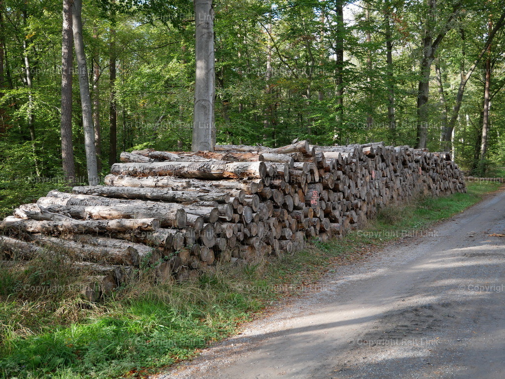 P1000482 | Stockfotos, Fotos mit Miniaturfiguren und kreativen Ideen. Dabei auch vieles aus der Metropolregion Rhein-Neckar. 