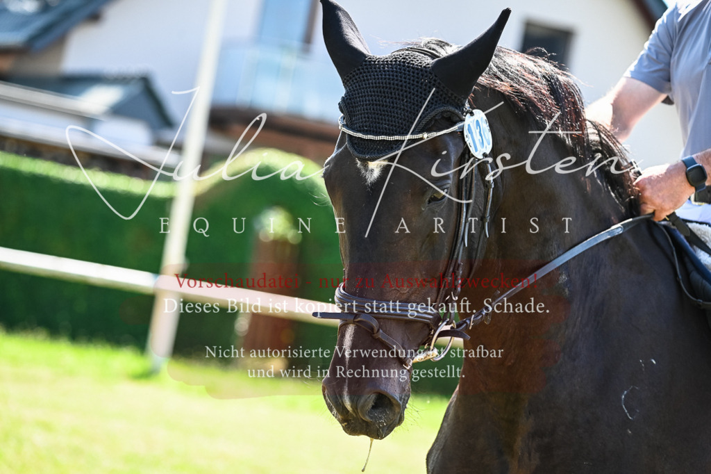 DSC_1413 | Pferde- und Turnierfotografie in Westsachsen. Pferdeportraits, Auftragszeichnungen und intuitive Kunst.