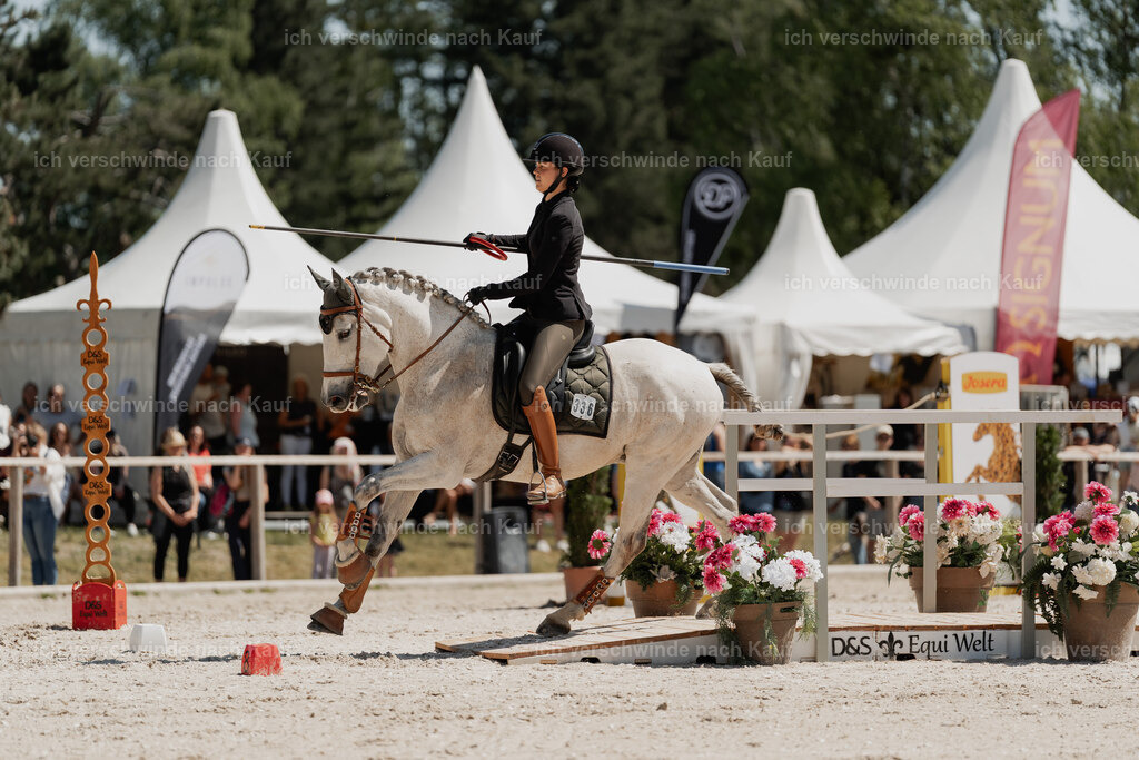 WE_SP_Stoib_336_PI2025_1699 | Pferd International München 2025