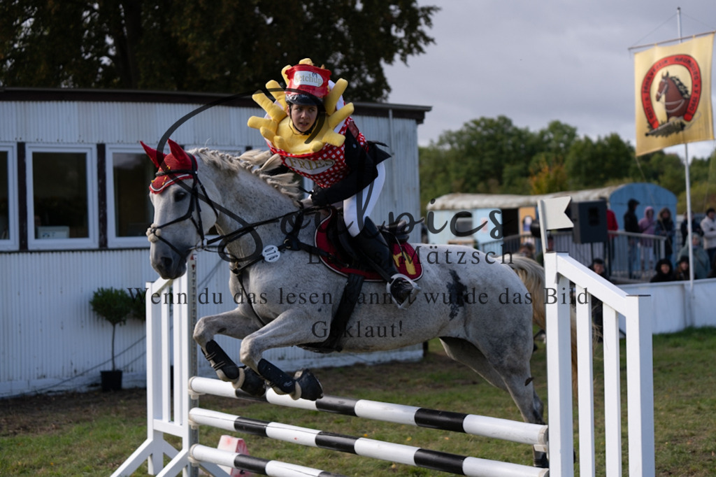 A7V06561 | Pferdefotograf