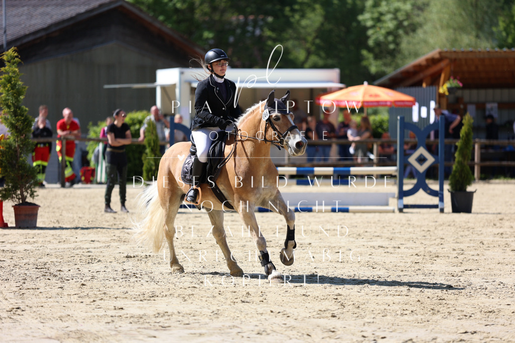 IMGS4429 | pl-fotografie