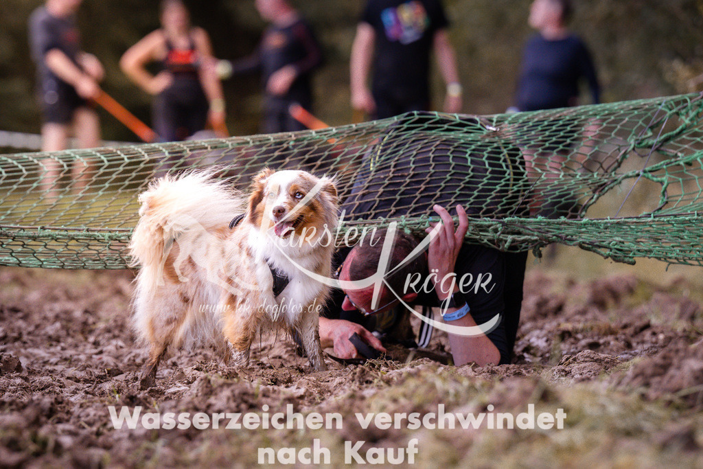 1231_ZZ94738 | kk-dogfotos