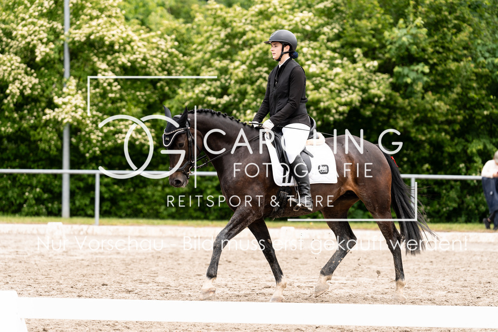 DSC07950 | Carolin Gieschke