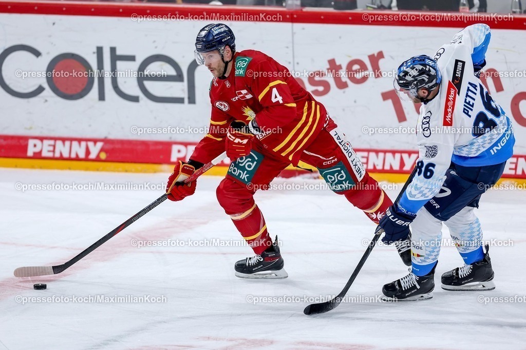 DEG02012501020 | 02.01.2025, Eishockey, Penny DEL, Düsseldorfer EG - ERC Ingolstadt, PSD-BANK Dome: Paul Postma (DEG #4) im Zweikampf gegen Daniel Pietta (ERC Ingolstadt #86)