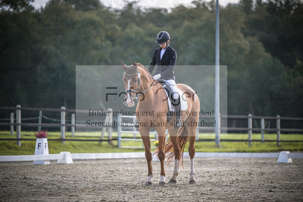 DOS_B050 | Entdecke hochwertige Reitturnierfotos von Foto Oger. Professionell, emotional und authentisch – jetzt Lieblingsmomente im Shop bestellen.Deutschlandweite Turnierfotografie. - Realisiert mit Pictrs.com