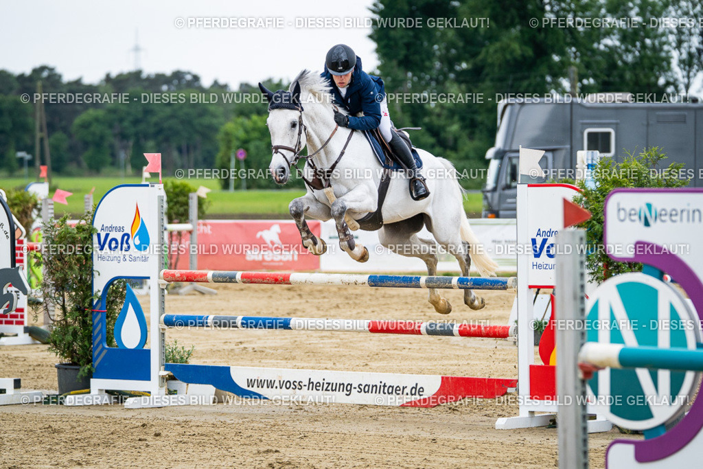 DSC05896 | Pferdegrafie