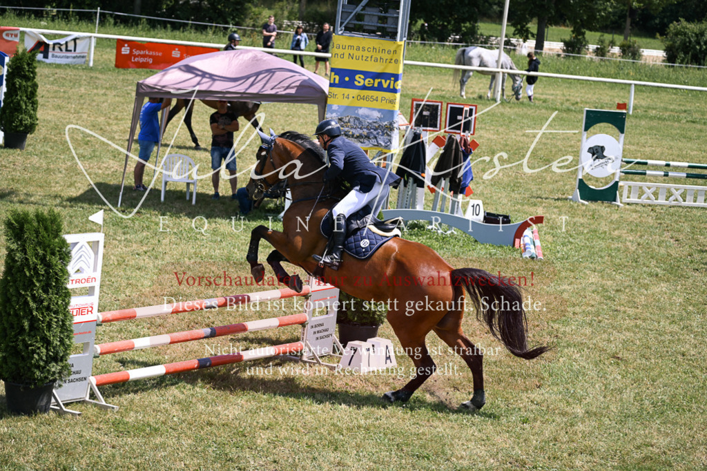 DSC_9806 | Pferde- und Turnierfotografie in Westsachsen. Pferdeportraits, Auftragszeichnungen und intuitive Kunst.