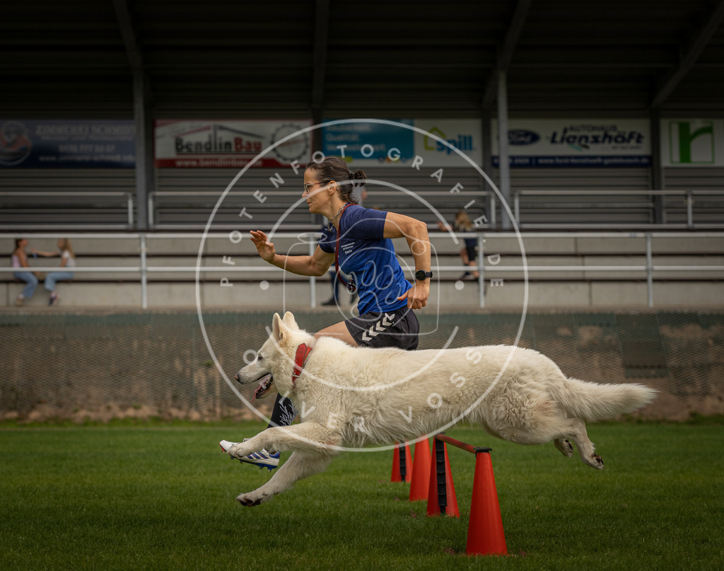 Pfotenfotografie_DV3A7586 | Hundefotografie, Tierfotograf, Pfotenfotografie, Fotoshooting Hund, Hunde Portrait, Hundesport, Hundeportraits, Heideshooting, Hunde, Sportfotograf, Hundefotograf, Turnierhundsport, THS,  - Realisiert mit Pictrs.com