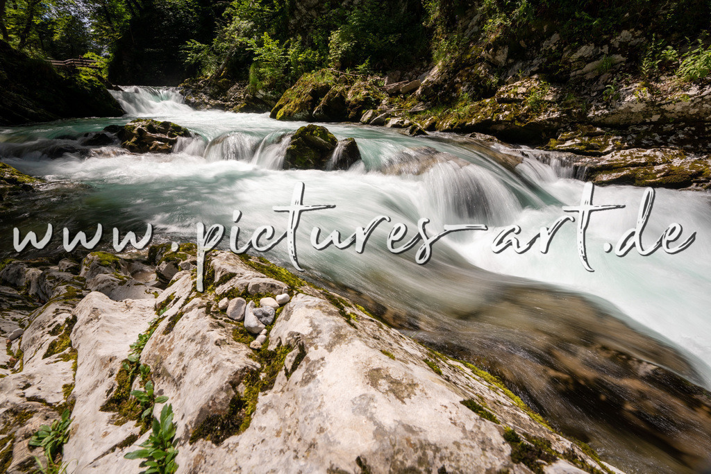 DSC09776 | pictures-art.de