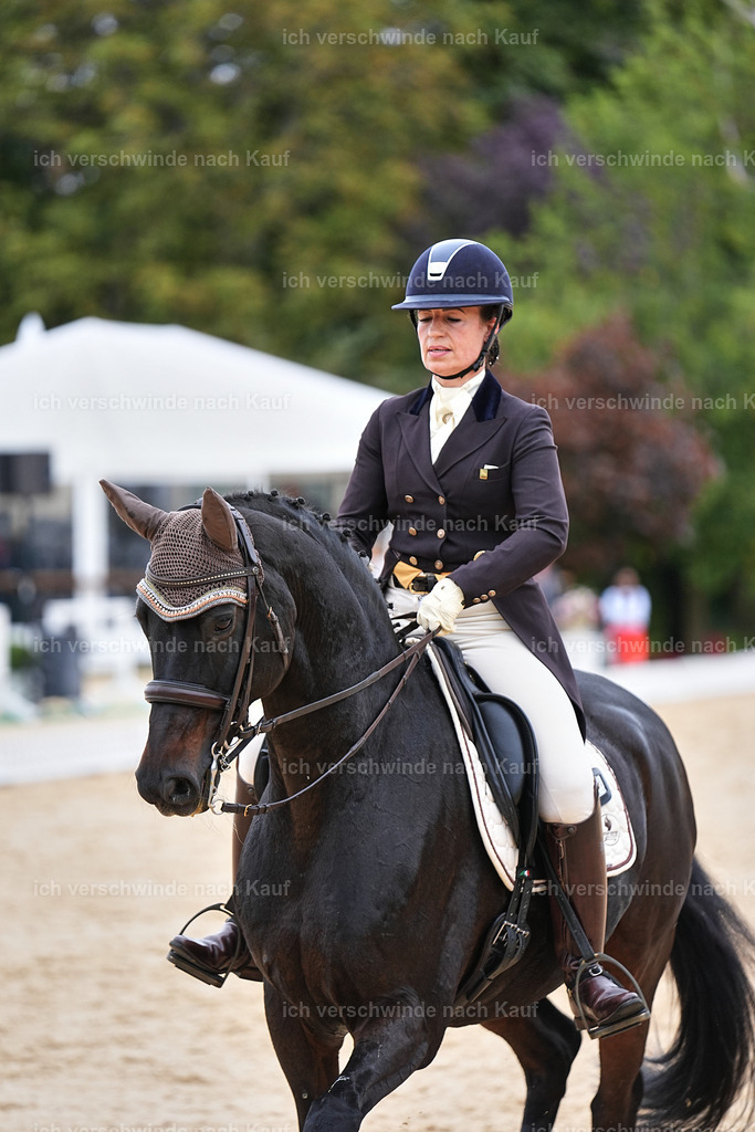 11-191-Dressur S___-Marixx-1797 | working equitationturnier fotograf videograf stoibphotography marixx film working equitation deutschland reitsport turnierfotografie eventfotografie equestrian events