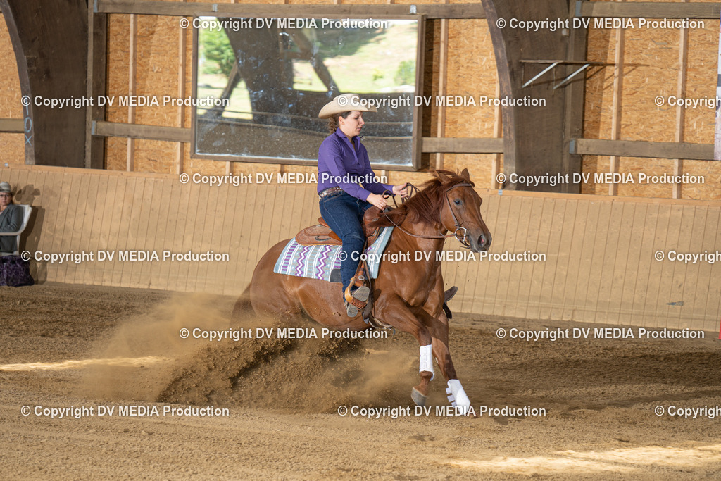 DSC00034 | dv-media-shop - Realisiert mit Pictrs.com