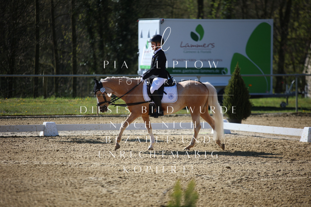 IMGT9748 | pl-fotografie