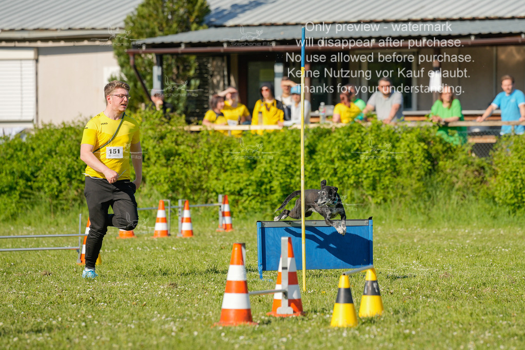 Sa_CSC-463 | stephaniefillaphotographie - Realisiert mit Pictrs.com