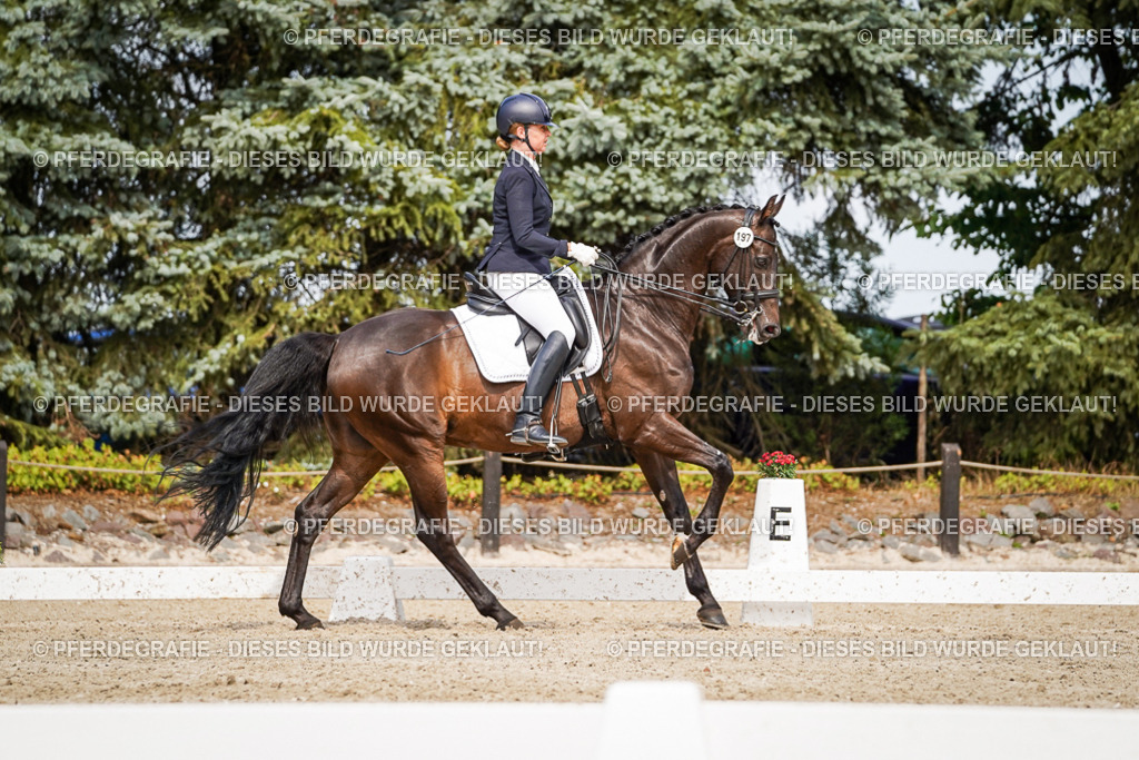 DSC05865 | Pferdegrafie