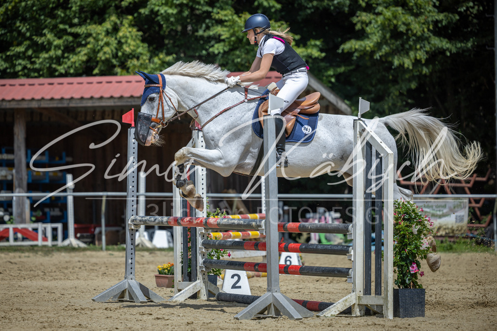 20260704-_3LI0038 | Tierfotografie Pferde, Hunde, Katzen, Haustiere.
Turnierfotografie Reitturniere, Reiten, Springreiten, Dressur in Hanau, dem Main-Kinzig-Kreis und dem Rhein-Main- Gebiet um Frankfurt