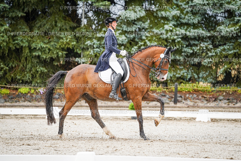 DSC08689 | Pferdegrafie