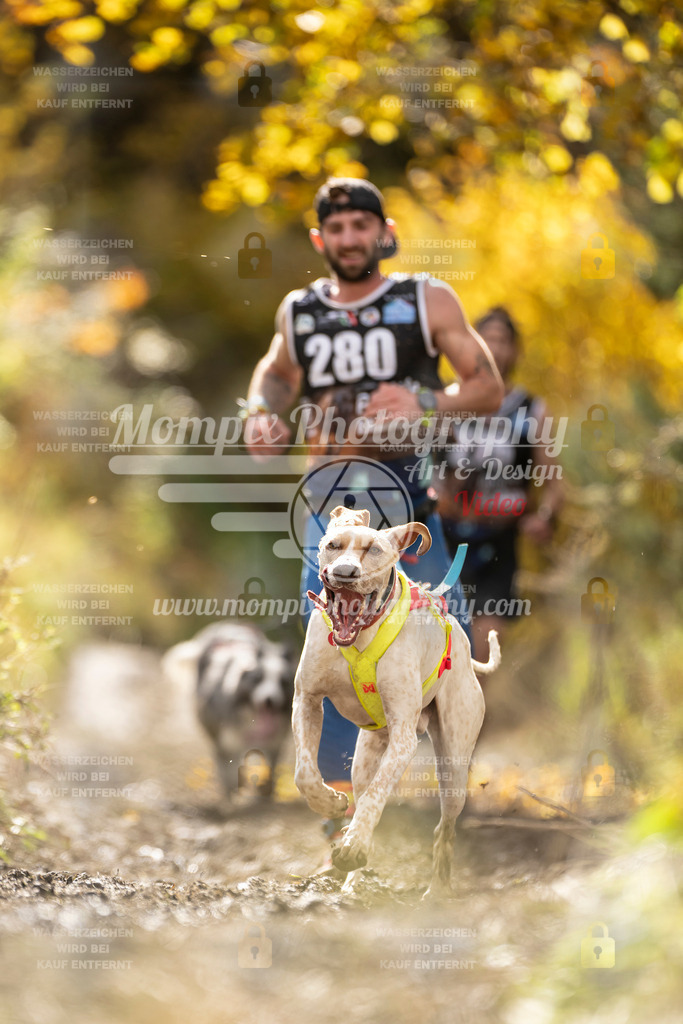 MompixPhotography_ICF_WC_2024_SA_Run_-92 | PayLife